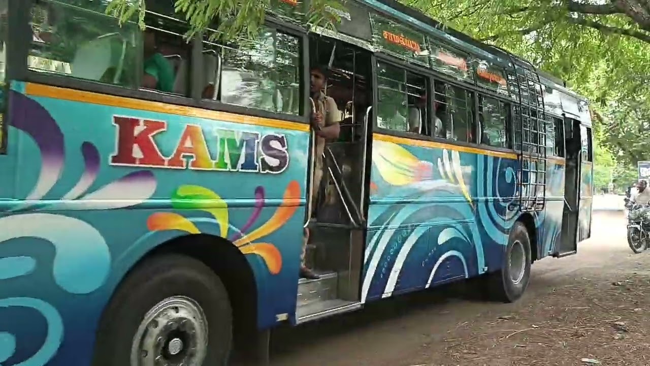 26 07 2025 TAMARIND TREE VISUAL