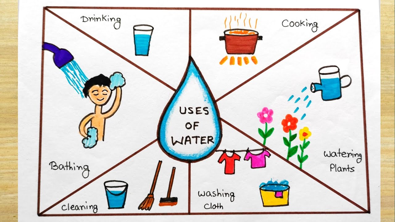 Using Water Example Uses of water school project idea | Importance of water | Uses of Water ...