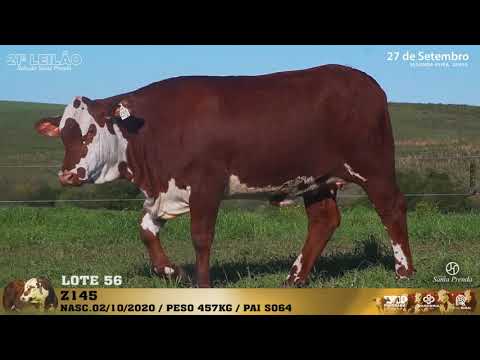 LOTE 056