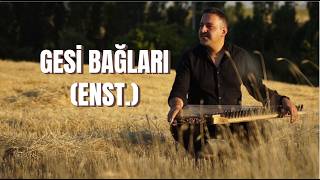 Turgay COŞKUN - Gesi Bağları (Enstrümantal) - 2025