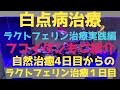 2022/6/14火曜日　ラクトフェリン、クロマジェルの使用法をご紹介！フコイダンの取り扱い説明書もご紹介！
