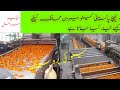 Orange processing  pakistani kinnow processing  waxing