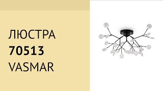 Люстра 70513 від Vasmar