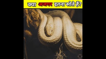 Fact on Python😲 #shorts #ytshorts #viral