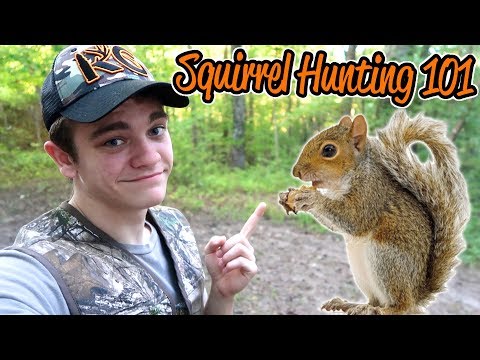 How to Hunt Squirrels - Squirrel Hunting 101