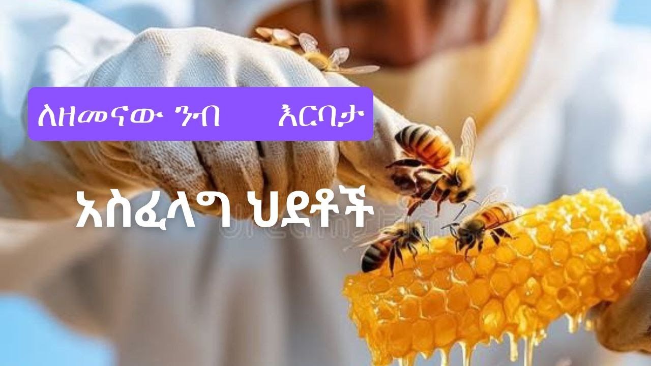 ለዘመናው ንብ እርባታ አስፈላግ ህደቶች