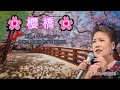 桜橋♪ 原唄:キム・ヨンジャ「사쿠라바시/김영자」、【MIDI・歌のない歌謠】