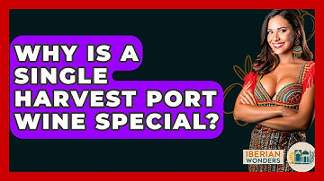 Why Is A Single Harvest Port Wine Special? - Iberian Wonders
