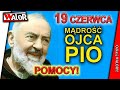 OP230619 Pomocy! - Mądrość Ojca Pio - codzienne rozmyślanie i modlitwa