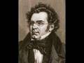 Franz Schubert - Ave Maria (Andrea Bocelli)