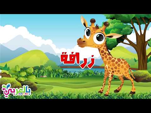 معلومات عن الزرافة للاطفال - حيوانات الغابة | Giraffe For Kids