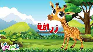معلومات عن الزرافة للاطفال - حيوانات الغابة | Giraffe For Kids