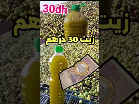 زيت الزيتون غيولي رخيص هاد العام الحمد لله زيت زيت زيتون رخيص ثمن