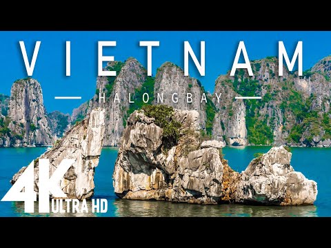 Video: Cum Să Te Relaxezi în Vietnam