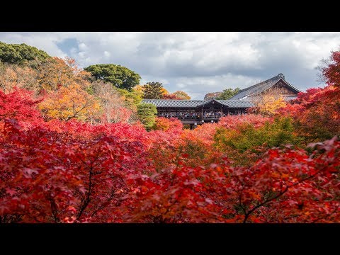 JG☆☆☆☆☆  HDR 京都 東福寺の紅葉(国宝,名勝) Kyoto,Tofukuji in Autumn(National Treasure,Scenic Beauty)