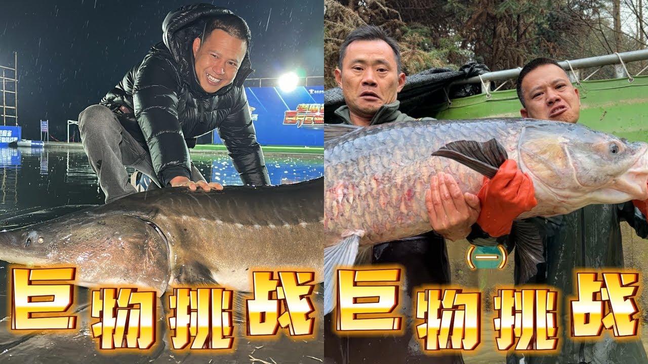 挑的就是大鱼，看什么样的竿才能杠得住我的巨物｜兄弟们！收个巨青太不容易了，既考验体力又考验耐力