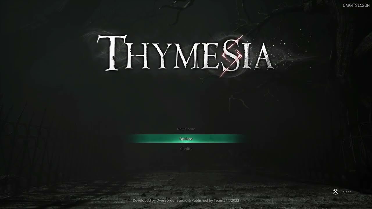 Thymesia Default Playstation 5 Option Settings For Gameplay, Audio