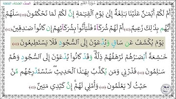 سورة القلم المصحف المعلم (39 - 45) خليفة الطنيجي