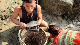Survival Skills: Build Simple Fish Trap Catch Many Fish By Hand