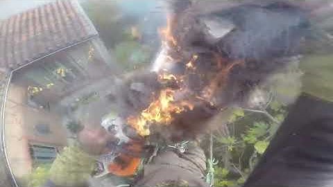 Fire Races Toward Arborist at Top of Palm Tree