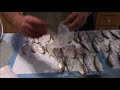 Tips for Freezing Bait Fish