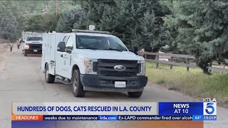 Hundreds of dogs and cats rescued from property in L.A. County