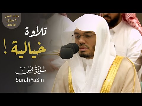 إن أصحاب الجنة اليوم في شغل فاكهون تلاوة خيالية فريدة للشيخ د ياسر الدوسري فجر 8 10 1445ه