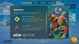 Fortnite Sidekicks are detrimental but cool