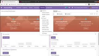 Odoo 14 Accounting Excel Reports Net Worth