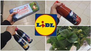 ARRIVAGE LIDL  - 5 JUIN 2026