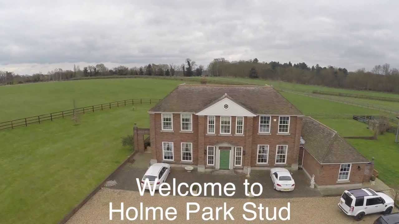5* Livery at Holme Park Stud YouTube