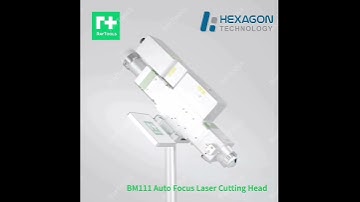 BM111 Raytools cutting Head.