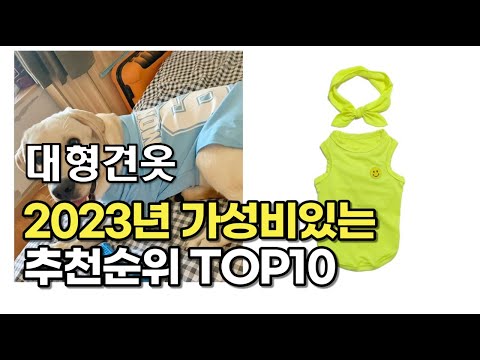 2023년 5월 대형견옷  가성비 추천 리뷰 추천순위 top10