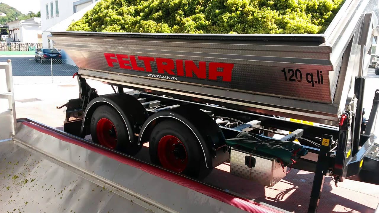 VASCA DA UVA FELTRINA  FASE DI SCARICO