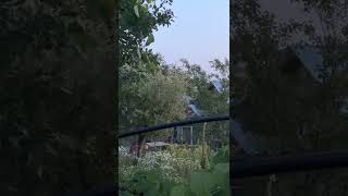 IMG 0115 2