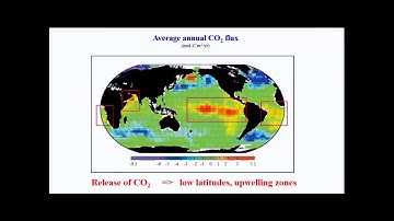 The marine carbon cycle