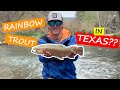 GUADALUPE river winter FISHING {RAINBOW TROUT IN TEXAS??} | Rainbow Trout Fishing EP. 5