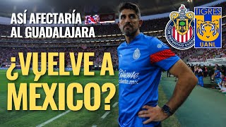 ¡NOTICIAS CHIVAS: ¿Veljko PAUNOVIC vuelve a MÉXICO? Así AFECTARÍA al REBAÑO si LLEGA a TIGRES!