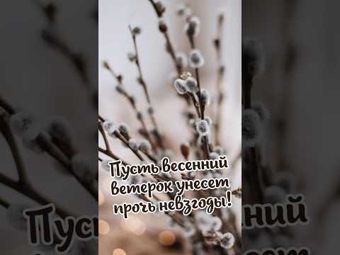 С Вербным Воскресеньем! Вербное воскресенье 9 апреля. красивая открытка