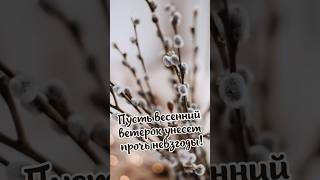 С Вербным Воскресеньем! Вербное воскресенье 9 апреля. красивая открытка