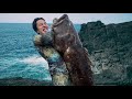 はぁはぁっ 素潜りでバケモノみたいな巨大魚が獲れたっ はぁはぁっ 素潜りでバケモノみたいな巨大魚が獲れたっ