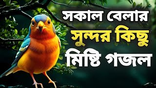 বাংলা গজল সেরা গজল  | Islamic Bangla gojol | 2023ghazal,gojol,new gojol