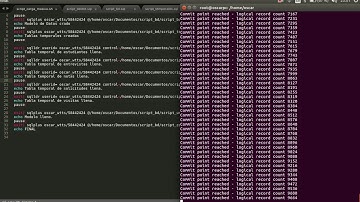 Carga Masiva en Base de Datos ORACLE 11G  (LINUX)