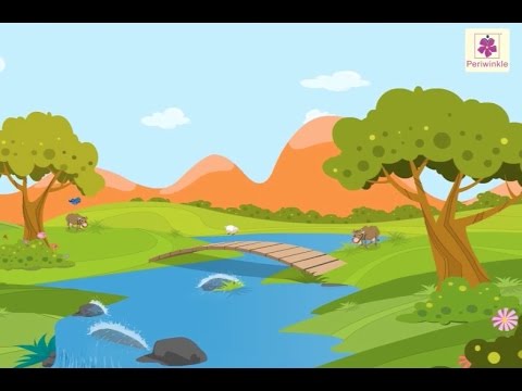 Different Environments - Part 2, Tundra, Polar Regions, Grasslands, Wetlands, Deserts