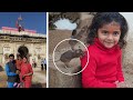 [539] चूहों से ऐसी दोस्ती कभी नहीं देखी 🐀🐁 Mouse Devi ❤️ karni mata temple rates vlog | Bikaner