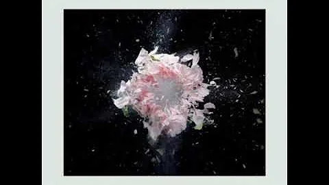 Zedd: The Middle Ft. Maren Morris & Grey (Audio)