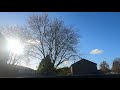 Sun through the trees time lapse