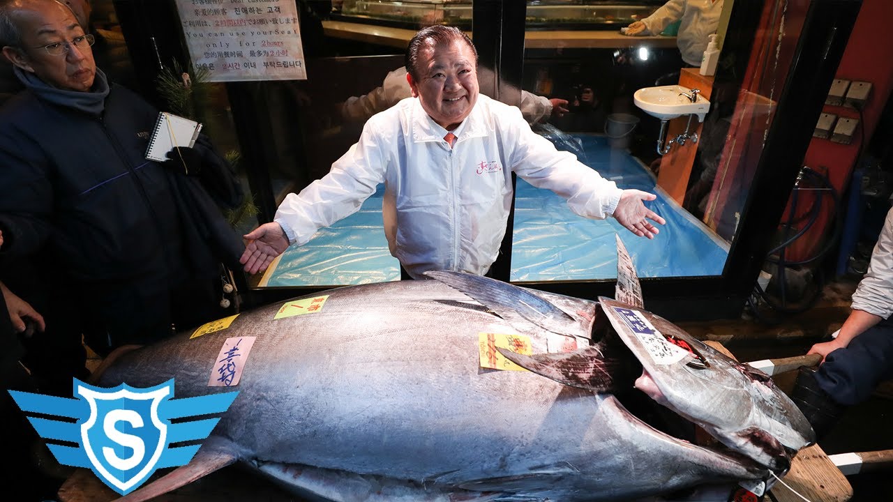 Najskuplja TUNA prodata na AUKCIJI