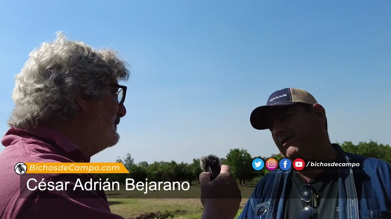 César Adrián Bejarano, productor de cítricos en Yuto