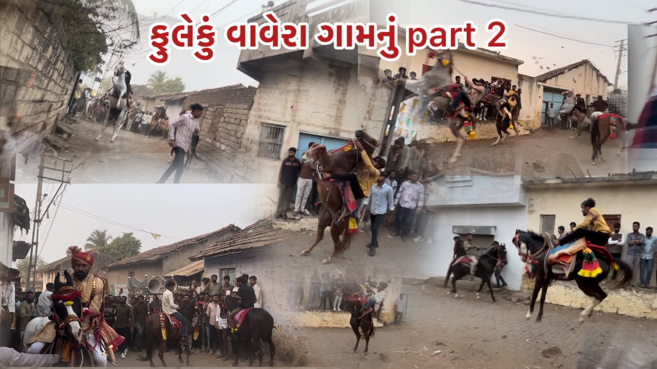 ફુલેકું વાવેરા ગામનું part 2